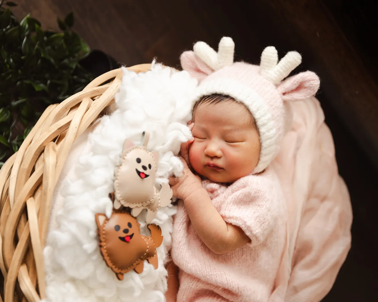 Newborn photograph 36 by DuPage Photo